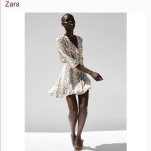 Zara Snakeskin Print Minidress